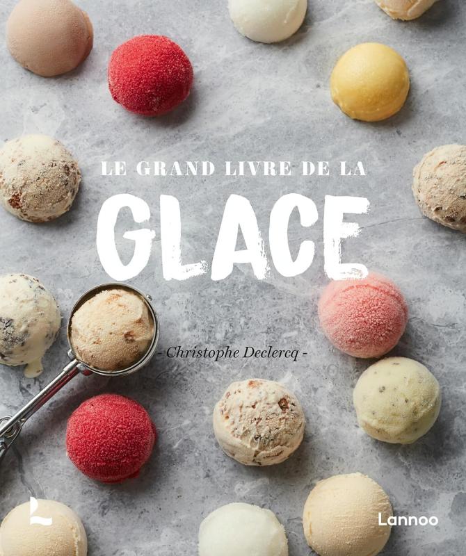 Le Grand Livre de la Glace (French) (Declercq)